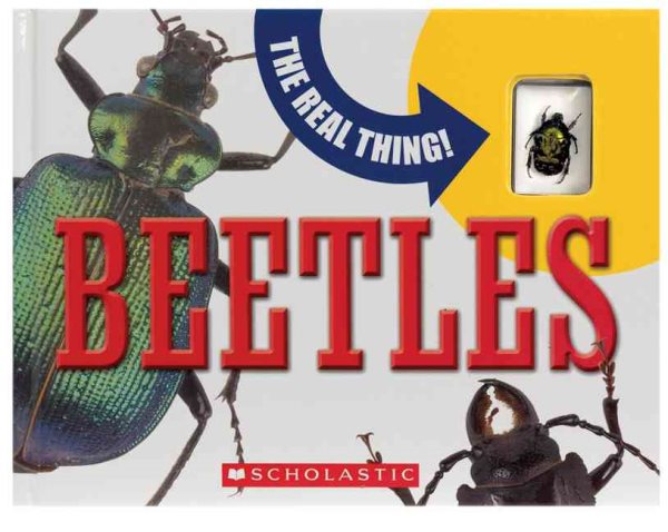 The Real Thing! Beetles