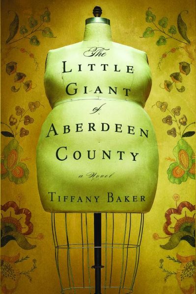 The Little Giant of Aberdeen County cover