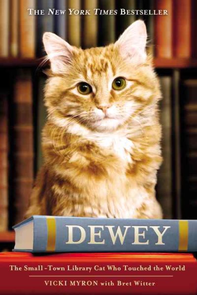 Dewey: The Small-Town Library Cat Who Touched the World cover
