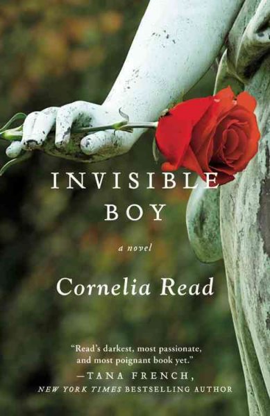 Invisible Boy (A Madeline Dare Novel, 3) cover