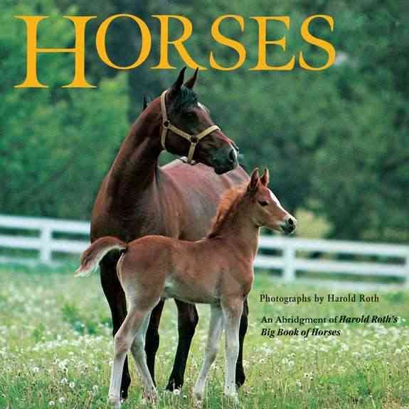 Horses cover