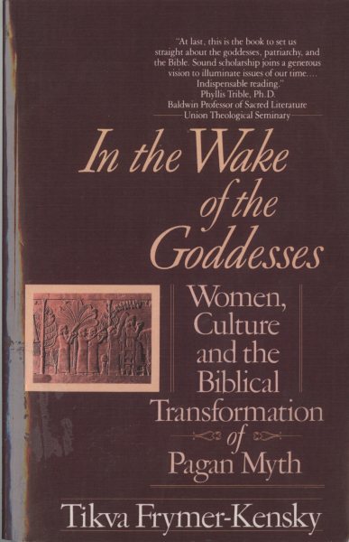 In the Wake of the Goddesses: Women, Culture and the Biblical Transformation of Pagan Myth cover