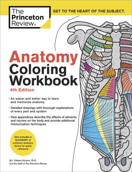Anatomy Coloring Workbook, 4th Edition: An Easier and Better Way to Learn Anatomy cover
