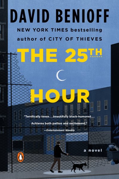 The 25th Hour: A Novel cover