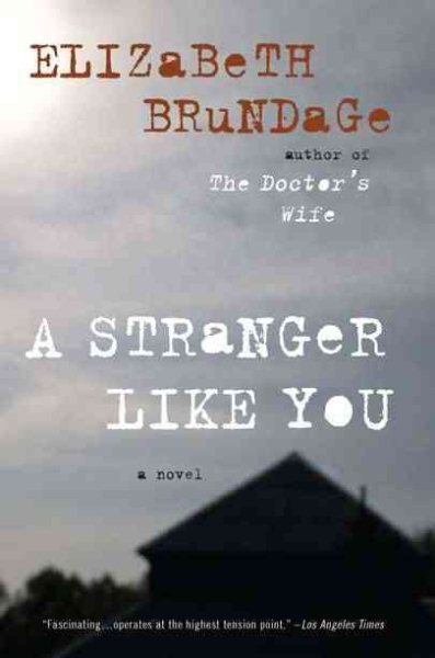 A Stranger Like You: A Novel cover