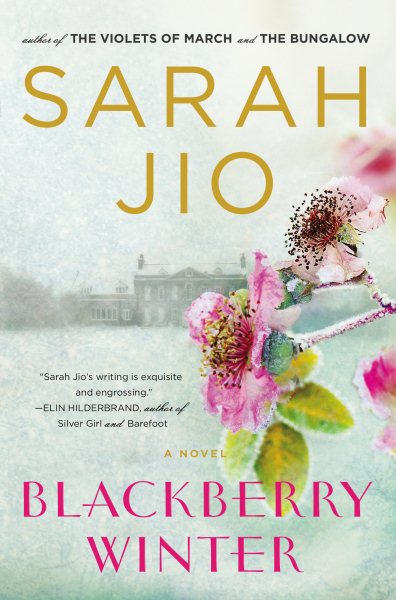 Blackberry Winter: A Novel cover