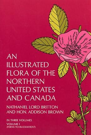 An Illustrated Flora of the Northern United States and Canada, Vol. 1 cover