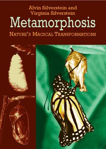 Metamorphosis: Nature's Magical Transformations (Dover Children's Science Books) cover