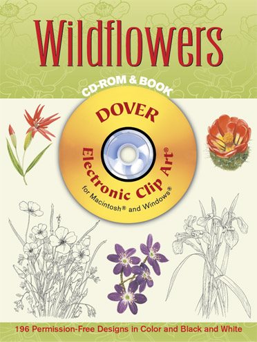 Wildflowers cover