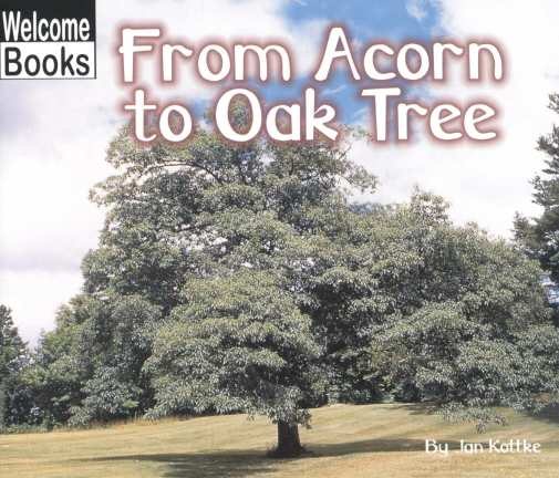 From Acorn to Oak Tree (Welcome Books: How Things Grow)