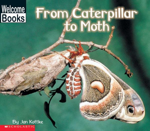 From Caterpillar to Moth (How Things Grow) cover