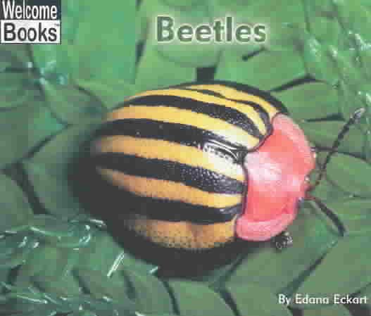 Beetles (Welcome Books) cover