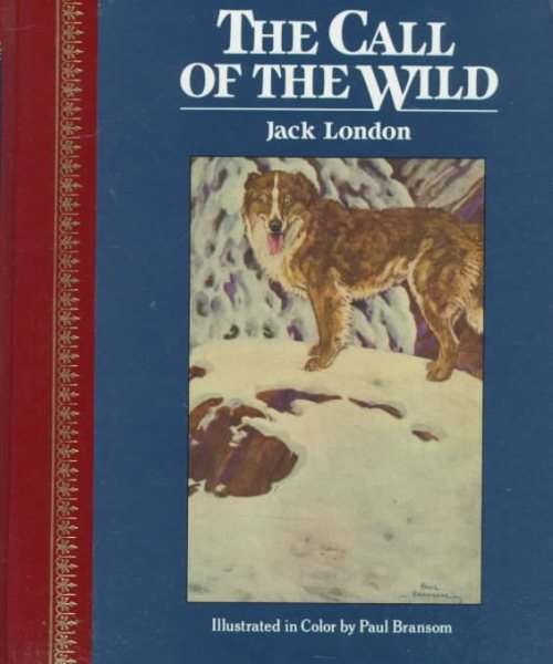 Call of the Wild (Children's Classics)