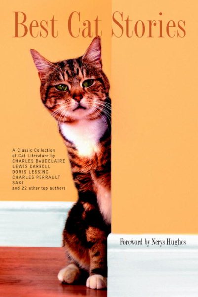 Best Cat Stories cover