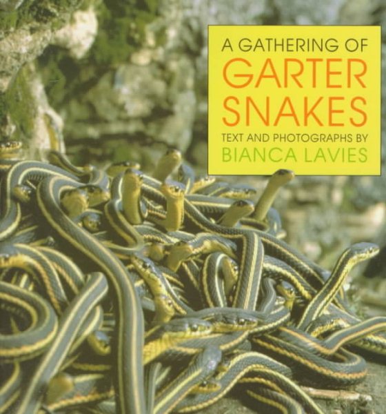 A Gathering of Garter Snakes cover