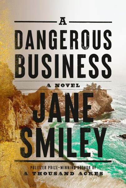 A Dangerous Business: A novel cover