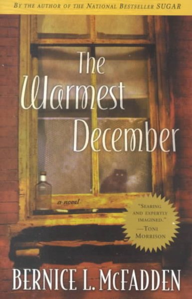 The Warmest December cover