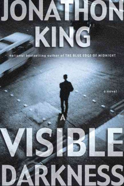 A Visible Darkness (Max Freeman Novels) cover