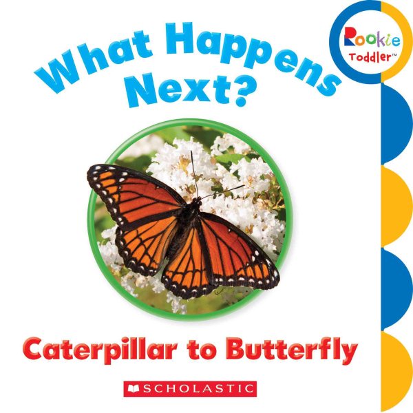 What Happens Next? Caterpillar to Butterfly (Rookie Toddler)