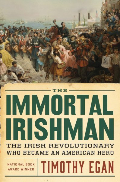 The Immortal Irishman: The Irish Revolutionary Who Became an American Hero cover
