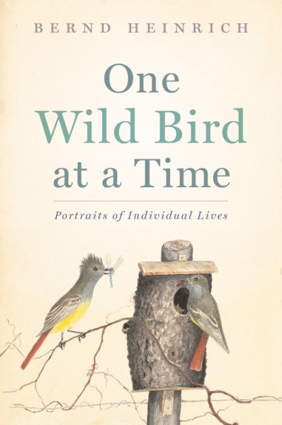 One Wild Bird At A Time: Portraits of Individual Lives cover