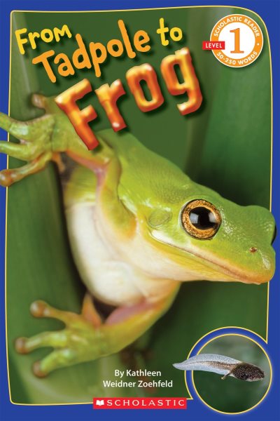 From Tadpole to Frog (Scholastic Reader, Level 1) cover