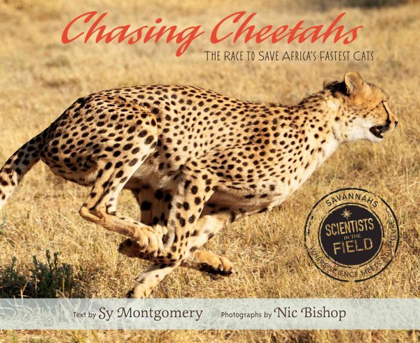 Chasing Cheetahs: The Race to Save Africa's Fastest Cat (Scientists in the Field Series) cover