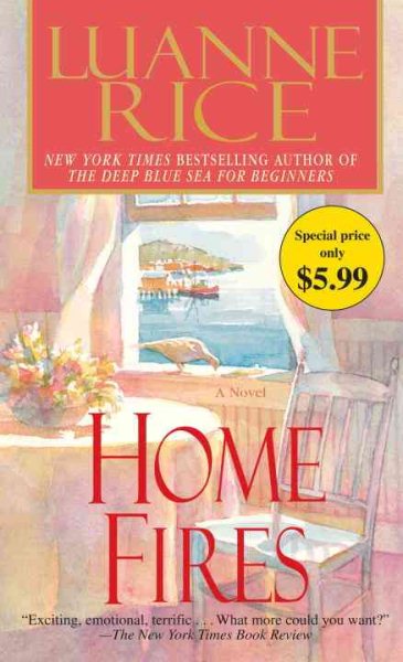 Home Fires: A Novel cover
