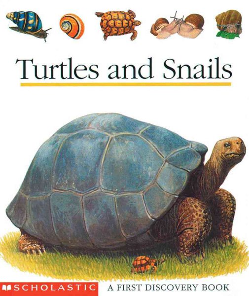 Turtles & Snails (First Discovery) cover