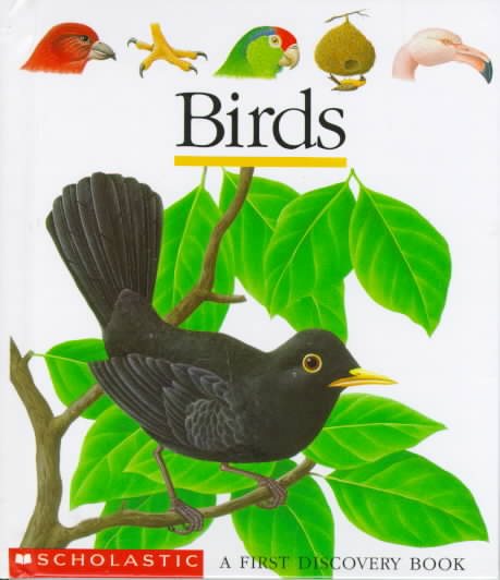 Birds First Discovery Books cover