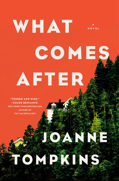 What Comes After: A Novel cover