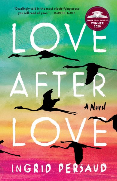 Love After Love: A Novel cover
