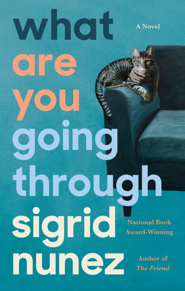 What Are You Going Through: A Novel cover