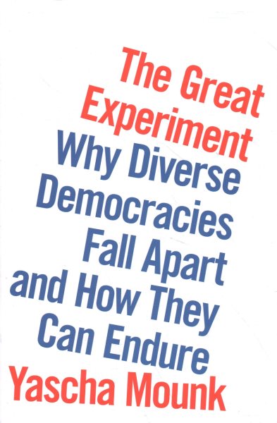 The Great Experiment: Why Diverse Democracies Fall Apart and How They Can Endure cover