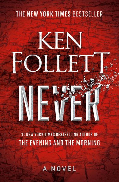 Never: A Novel cover
