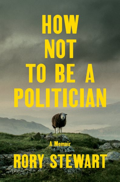 How Not to Be a Politician: A Memoir cover