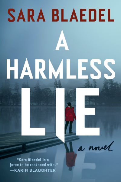 A Harmless Lie: A Novel cover