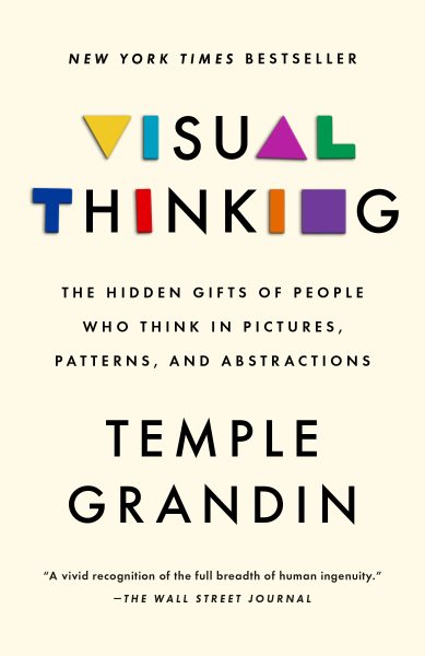 Visual Thinking: The Hidden Gifts of People Who Think in Pictures, Patterns, and Abstractions cover