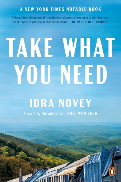 Take What You Need: A Novel cover