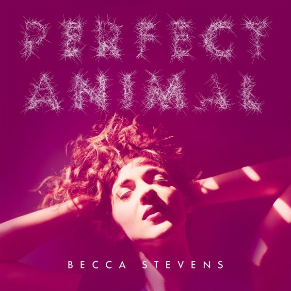 Perfect Animal cover