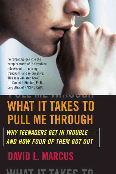 What It Takes To Pull Me Through: Why Teenagers Get in Trouble and How Four of Them Got Out cover