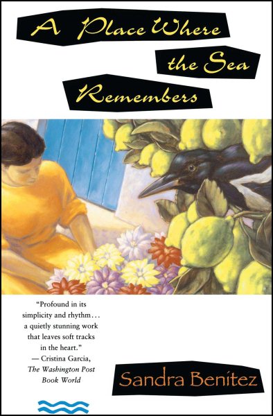 A Place Where the Sea Remembers (Scribner's Paperback Fiction) cover