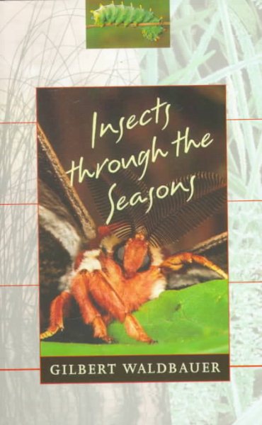 Insects through the Seasons cover