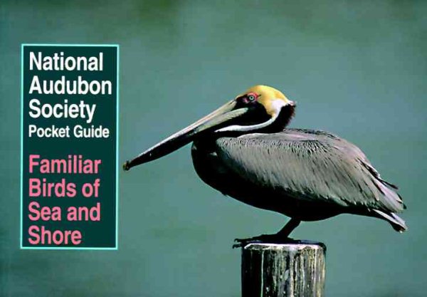 National Audubon Society Pocket Guide to Familiar Birds of Sea and Shore (National Audubon Society Pocket Guides) cover