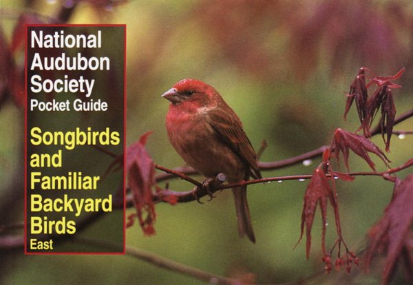 National Audubon Society Pocket Guide to Songbirds and Familiar Backyard Birds: Eastern Region: East (National Audubon Society Pocket Guides) cover
