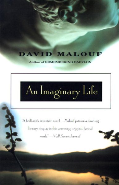 An Imaginary Life cover