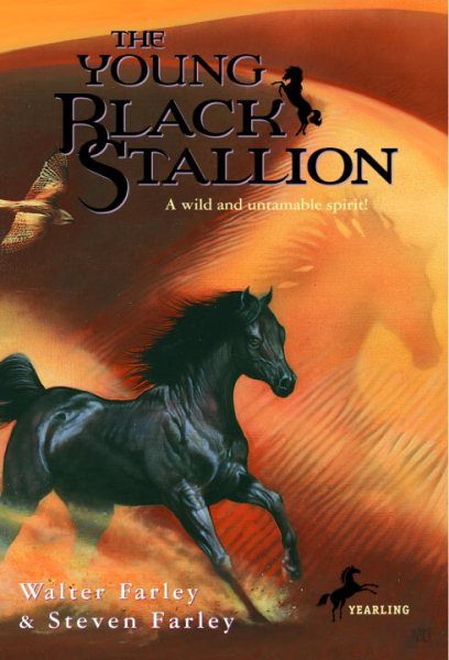 The Young Black Stallion: A Wild and Untamable Spirit! cover