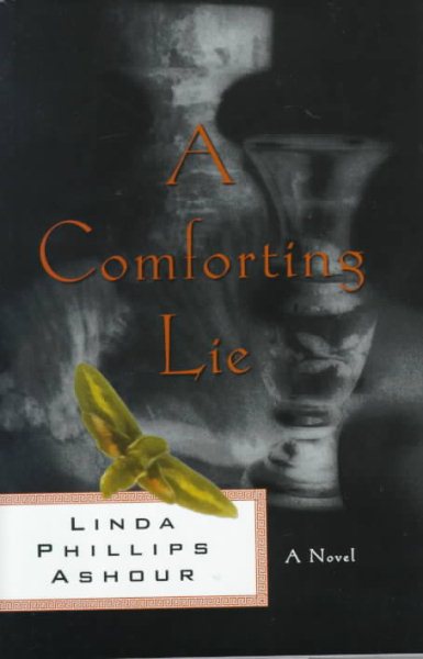 A Comforting Lie: A Novel cover