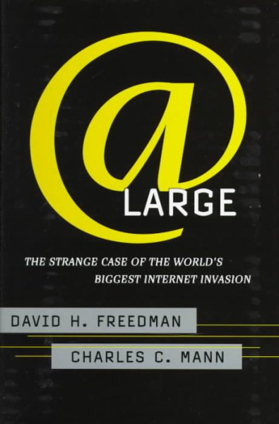 At Large: the Strange Case of the World's Biggest Internet Invasion cover