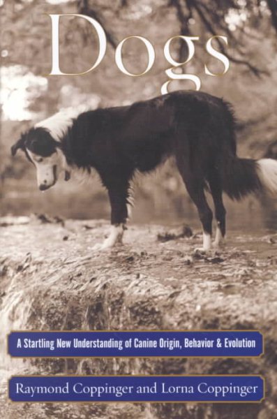 Dogs: A Startling New Understanding of Canine Origin, Behavior & Evolution cover